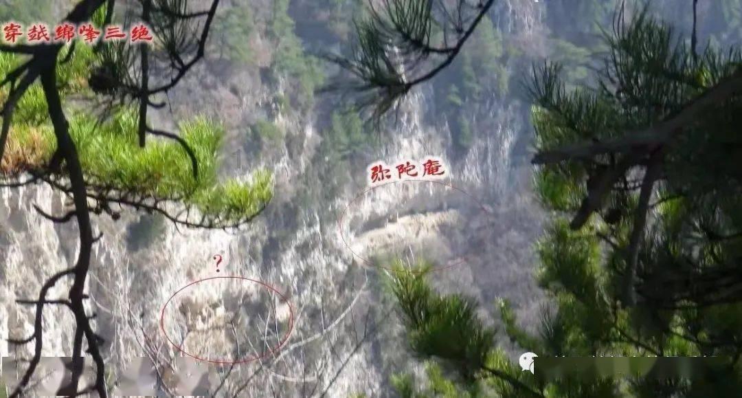 南京农行金融为民筑牢群众“钱袋子”保护网
