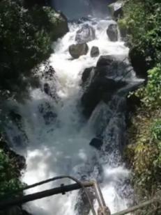 逃离危险禁地