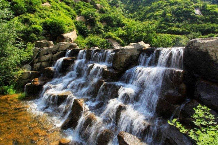 救援深海动物